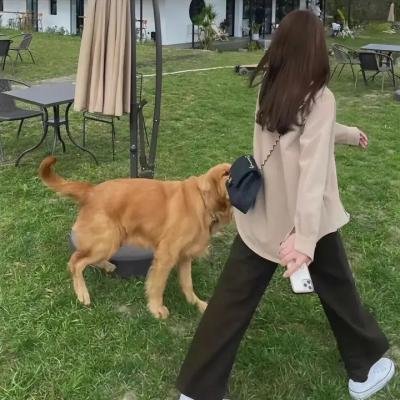 侠客行